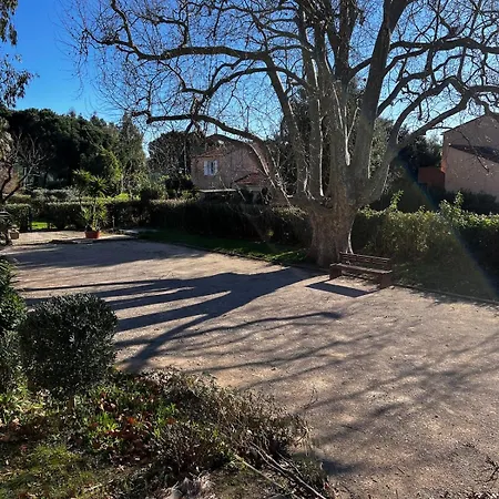 1 Avec Grande Terrasse Plein Sud Au Lavandou